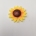 Flor girasol